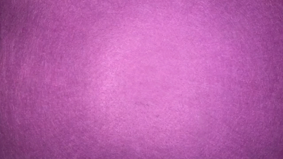 claymation